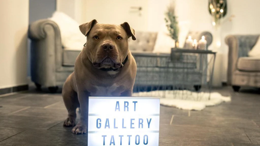 Art Gallery Tattoo tattoo shop in Duisburg, NRW