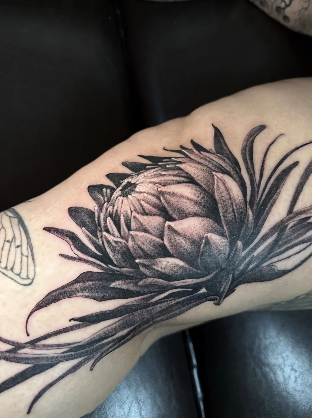 The Golden Forest Tattoo tattoo shop in Wuppertal, NRW