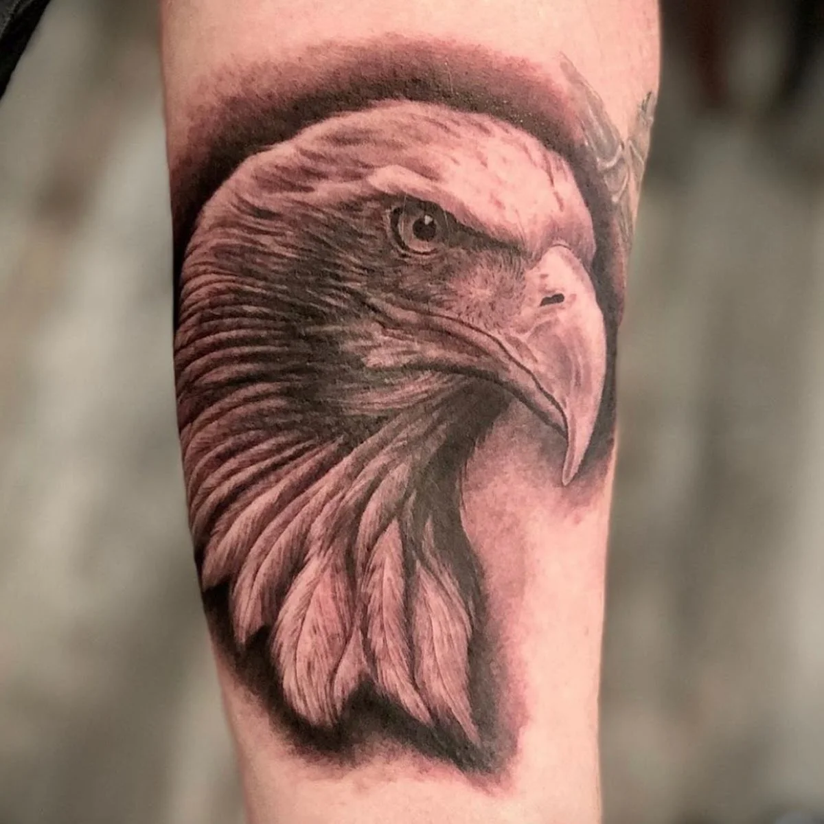 Glorious Art Tattoo Studio Bonn tattoo shop in Bonn, NRW