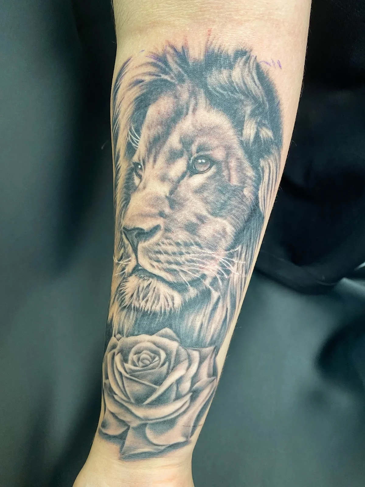 Peters Tattoo / Tattoo + Piercing Studio tattoo shop in Mannheim, BW