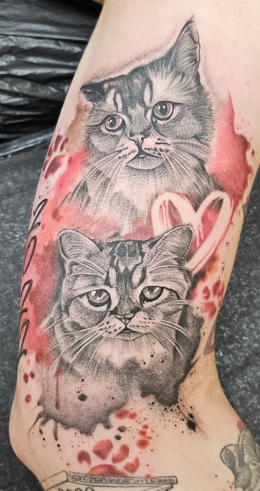 Art of Style Tattoo tattoo shop in Chemnitz, SN