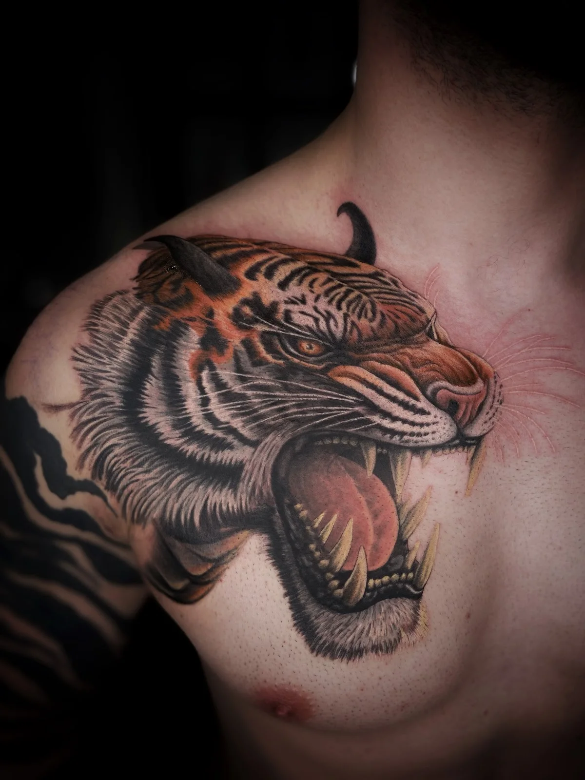 Viking Tattoo Studio tattoo shop in Braunschweig, NDS