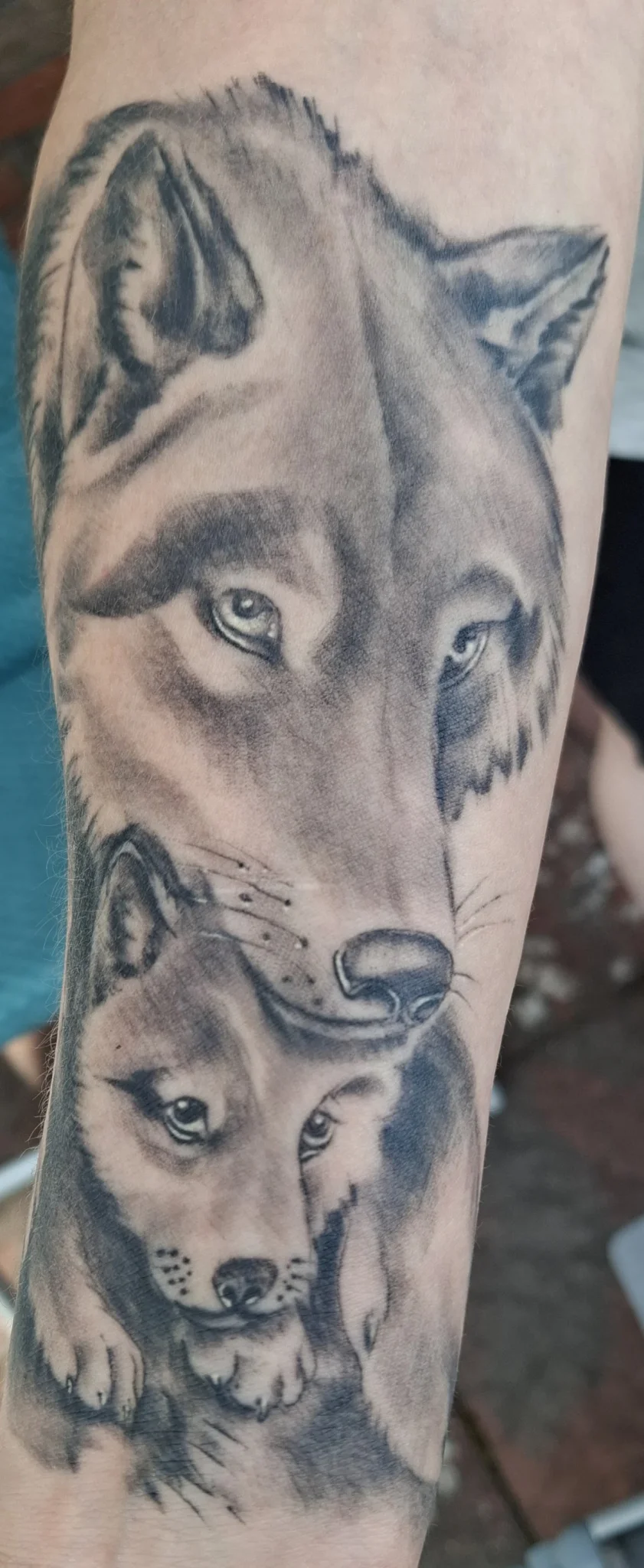 Tattoos Living Colors tattoo shop in Erfurt, TH