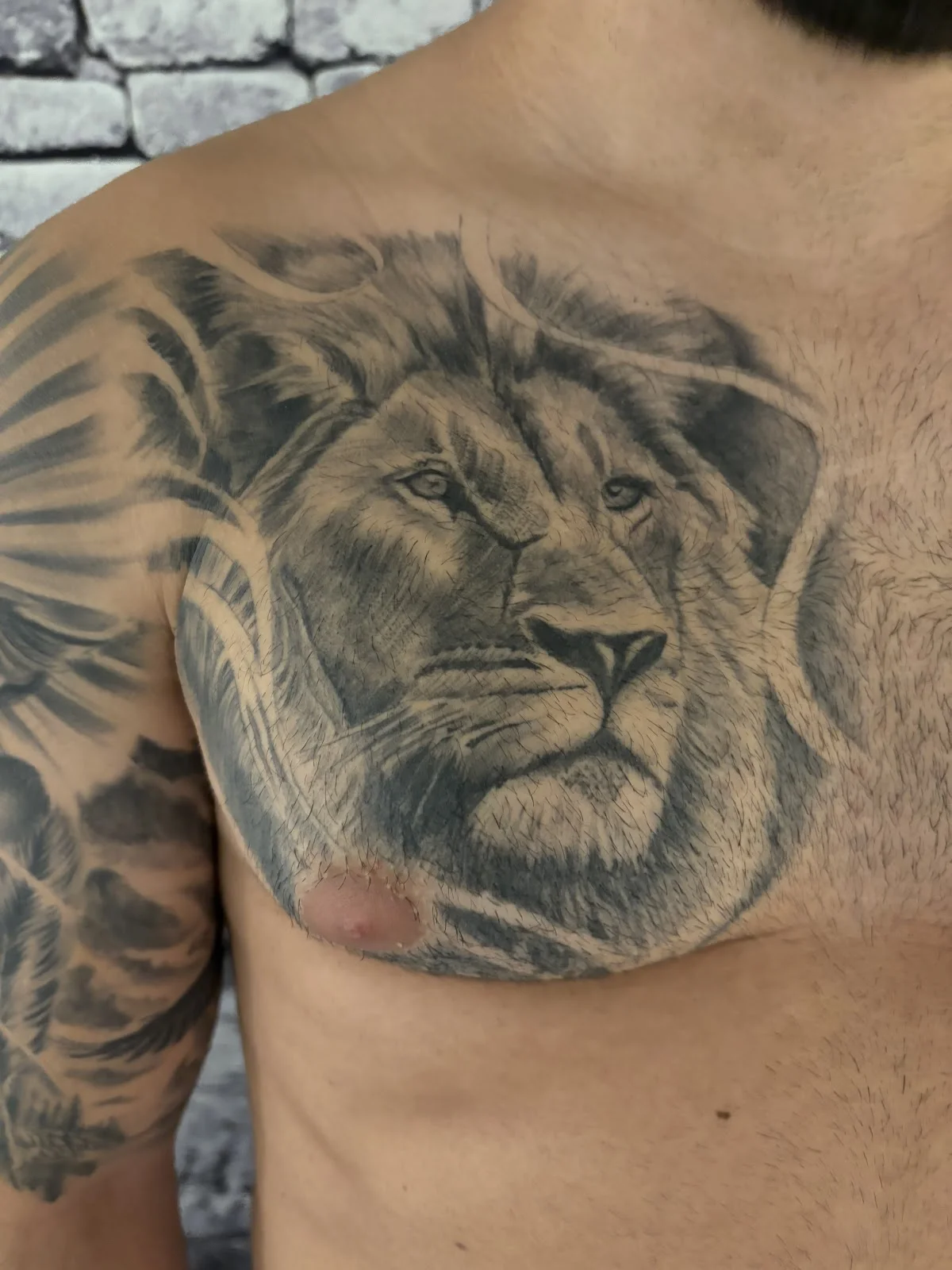 Tattoostudio Hamburg "A & A Ink" tattoo shop in Harburg, HH