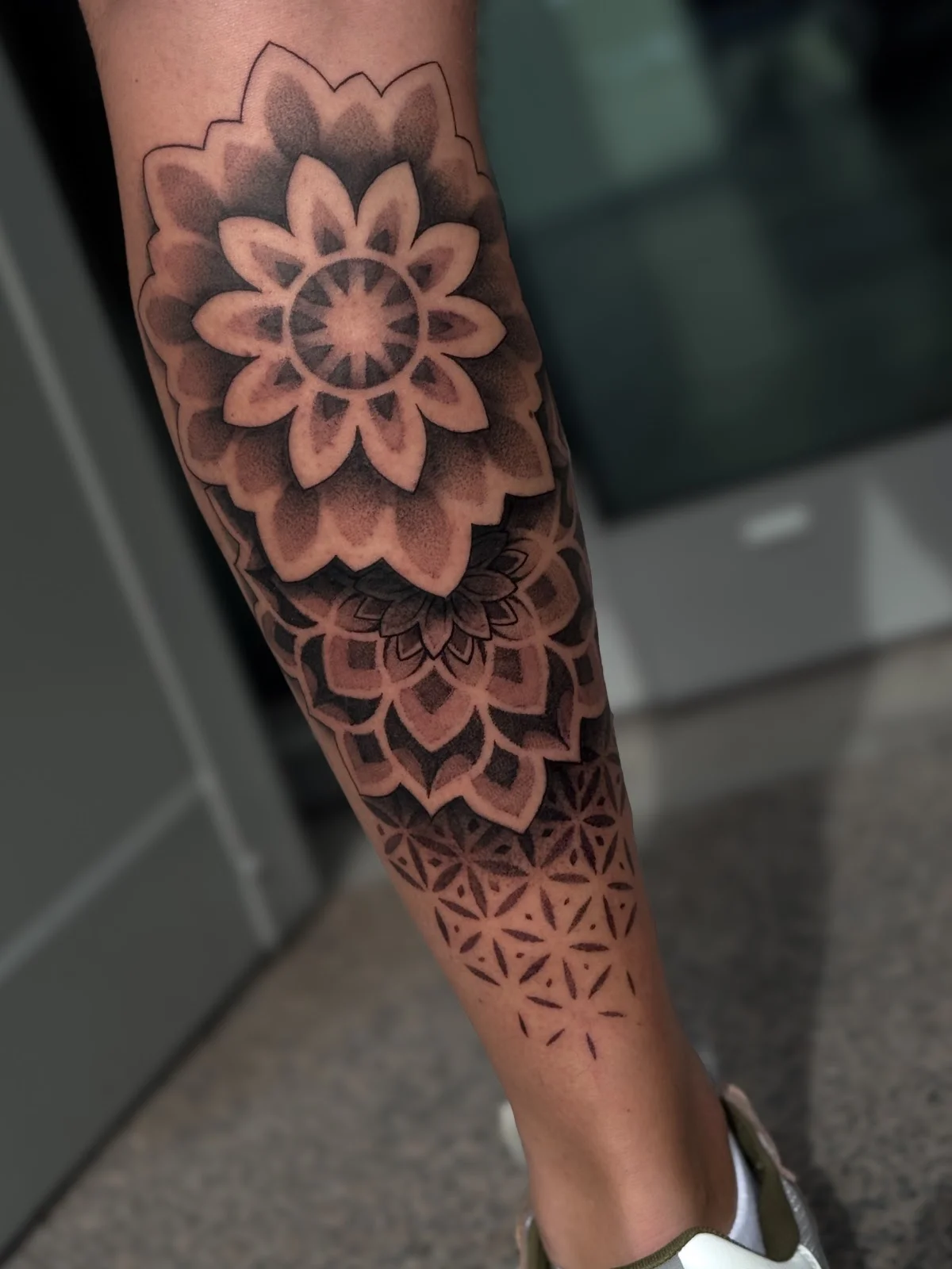 Bosca • Tattoo Shop tattoo shop in Liege