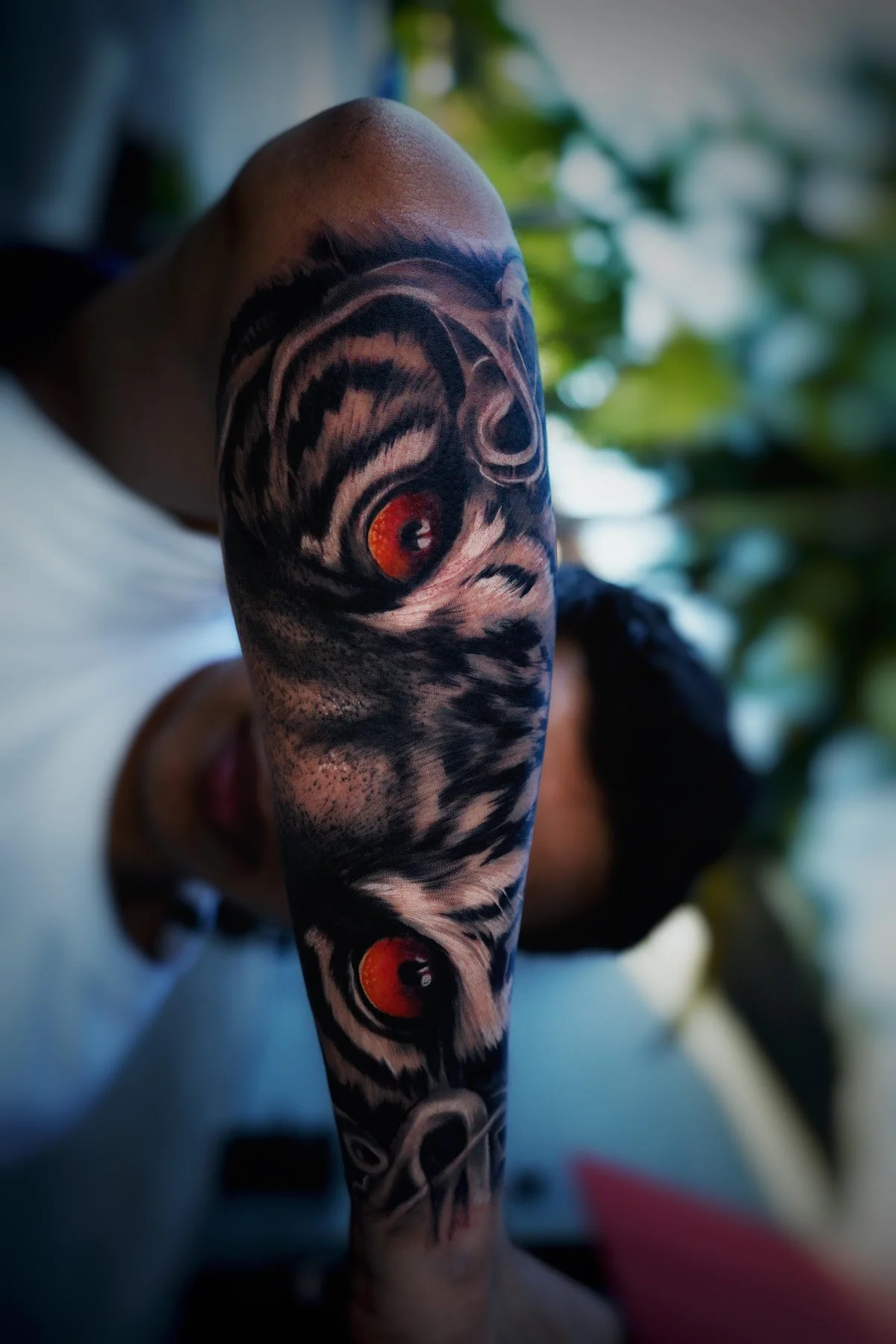 My Ink Tattoos tattoo shop in Miami, FL