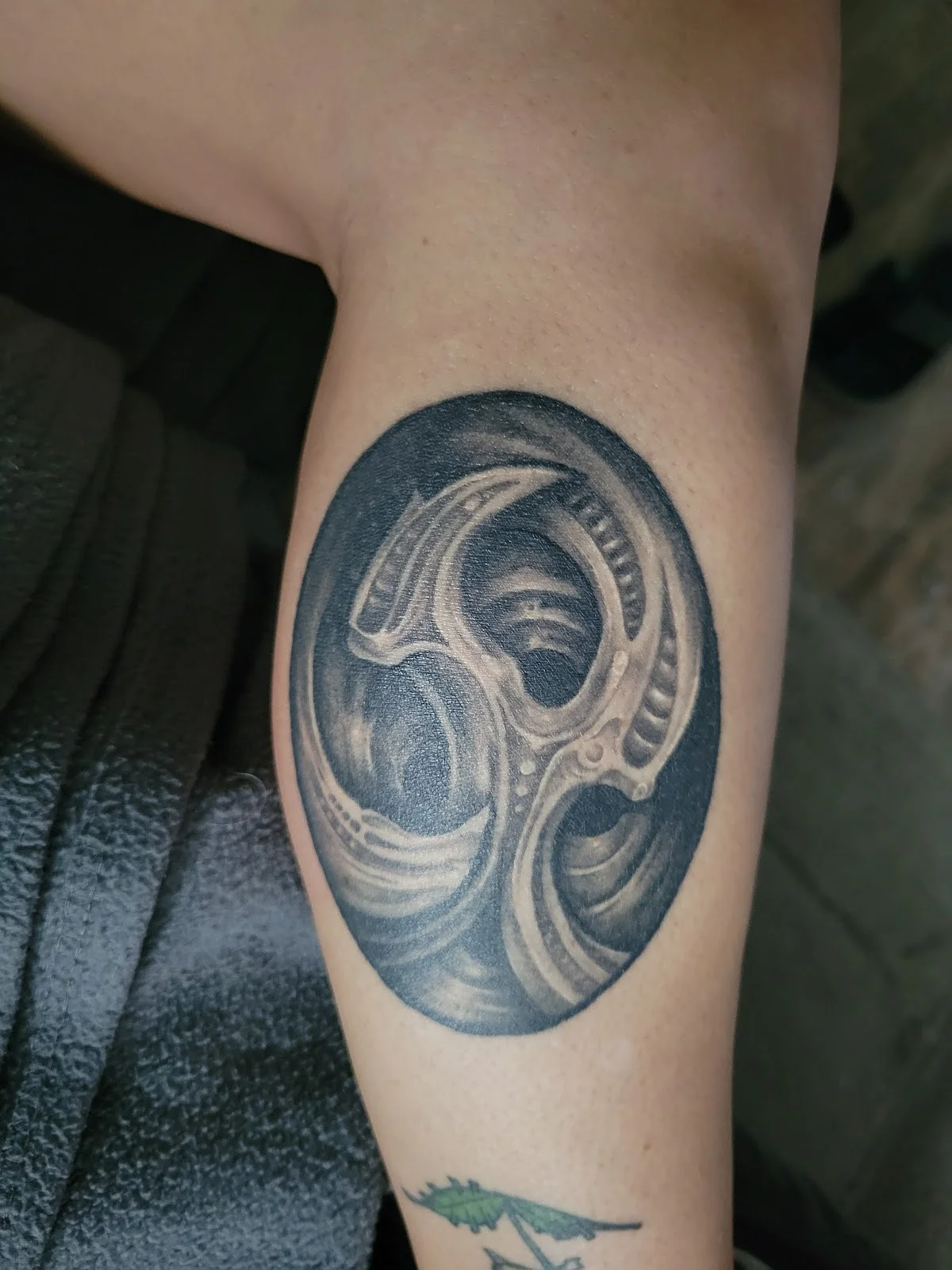 Atomic Tattoos North Tampa tattoo shop in Tampa, FL