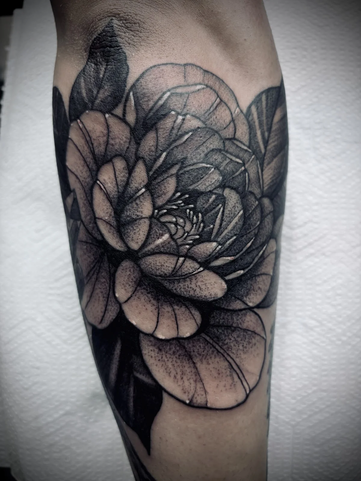 Empire Ink, South Beach tattoo shop in Miami, FL