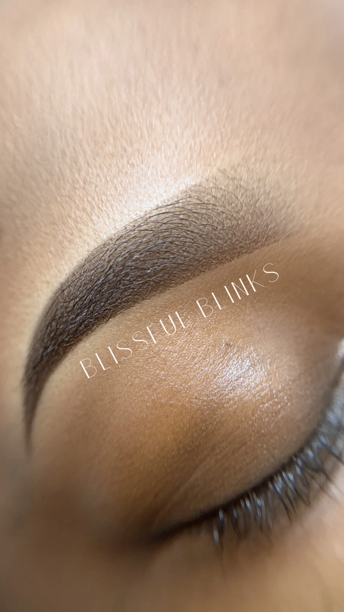 Blissful Blinks Lash & Brow Artistry tattoo shop in Gainesville, FL