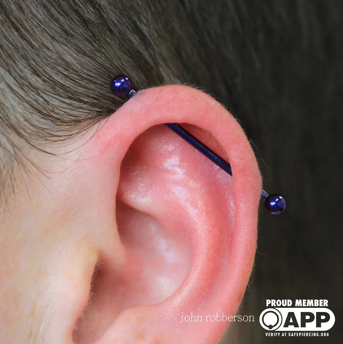 Tiger Lotus Tattoo and Piercing tattoo shop in Fort Myers, FL