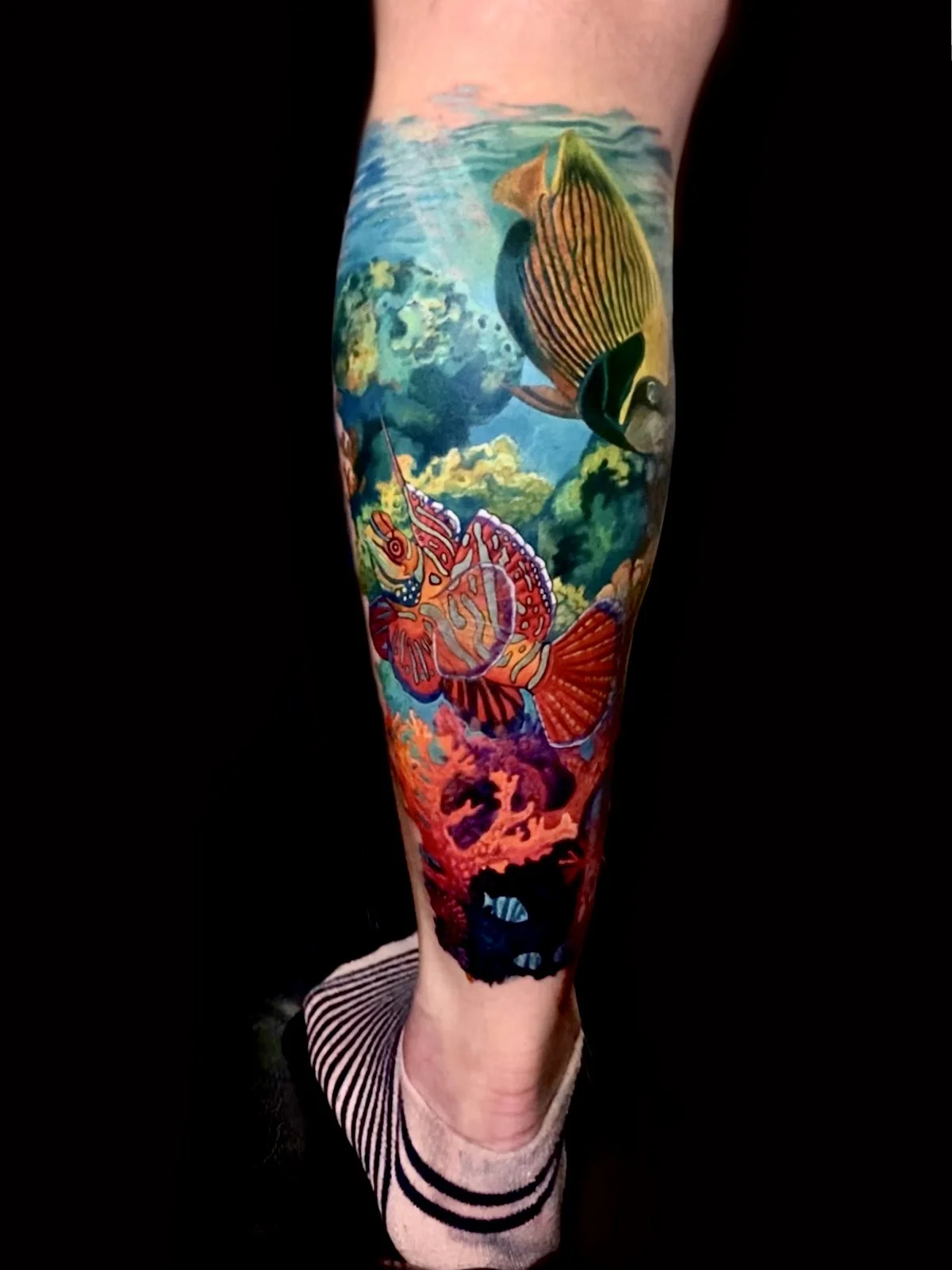 Las Olas Tattoo Shop tattoo shop in Fort Lauderdale, FL