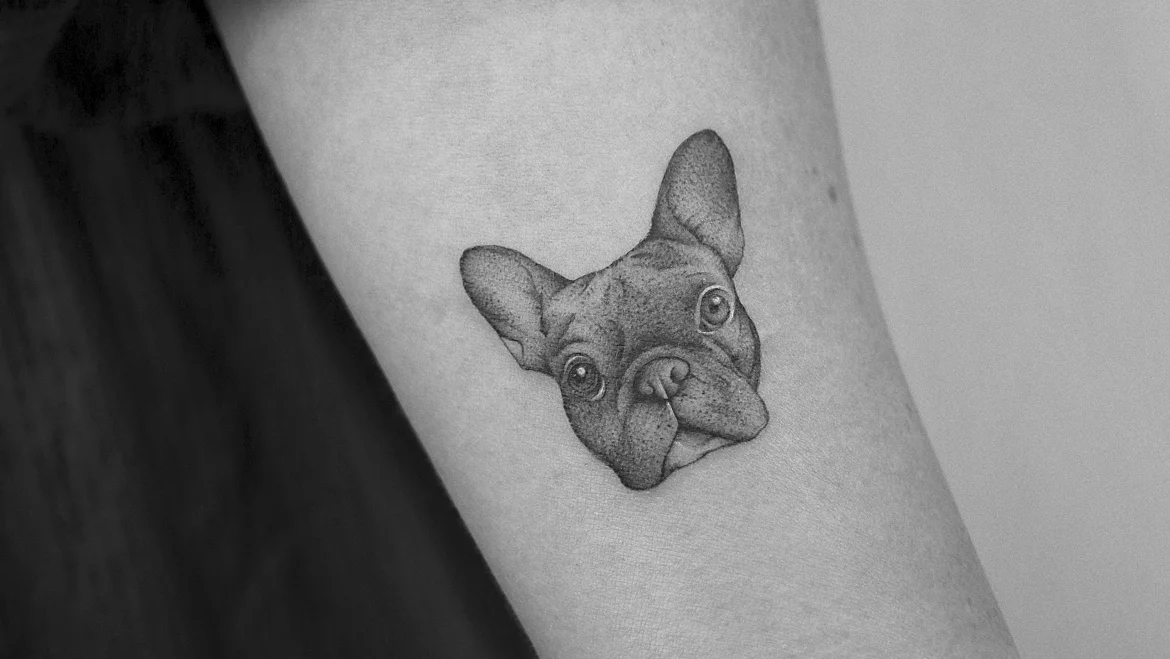 Auckland Fine Line Tattoo Studio tattoo shop in Auckland