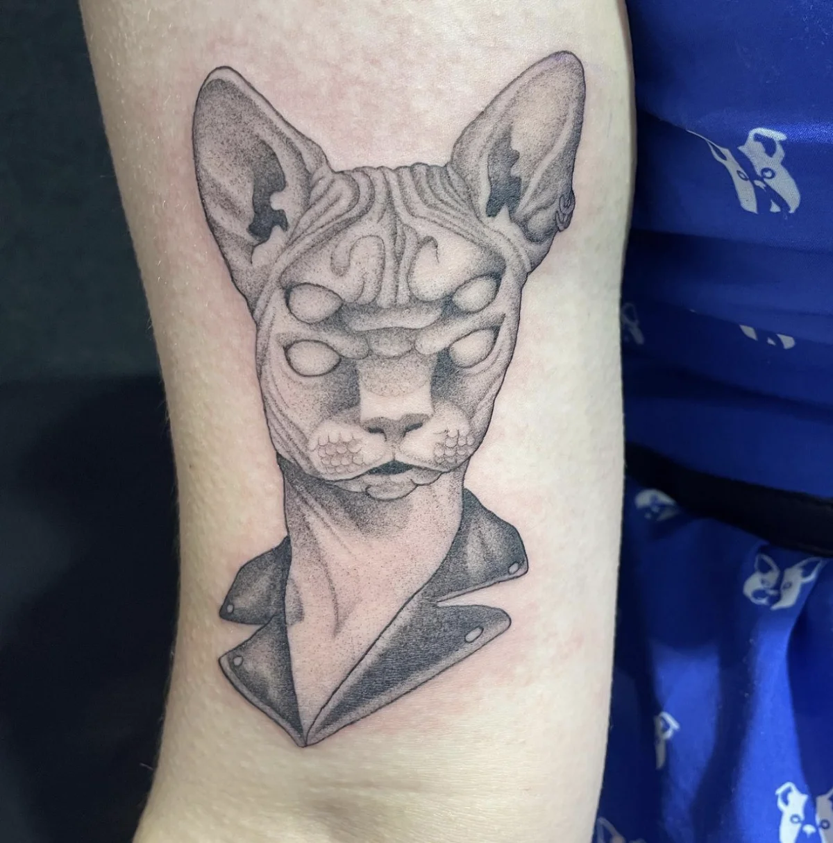 Dr Morse Tattoo Studio tattoo shop in Wellington
