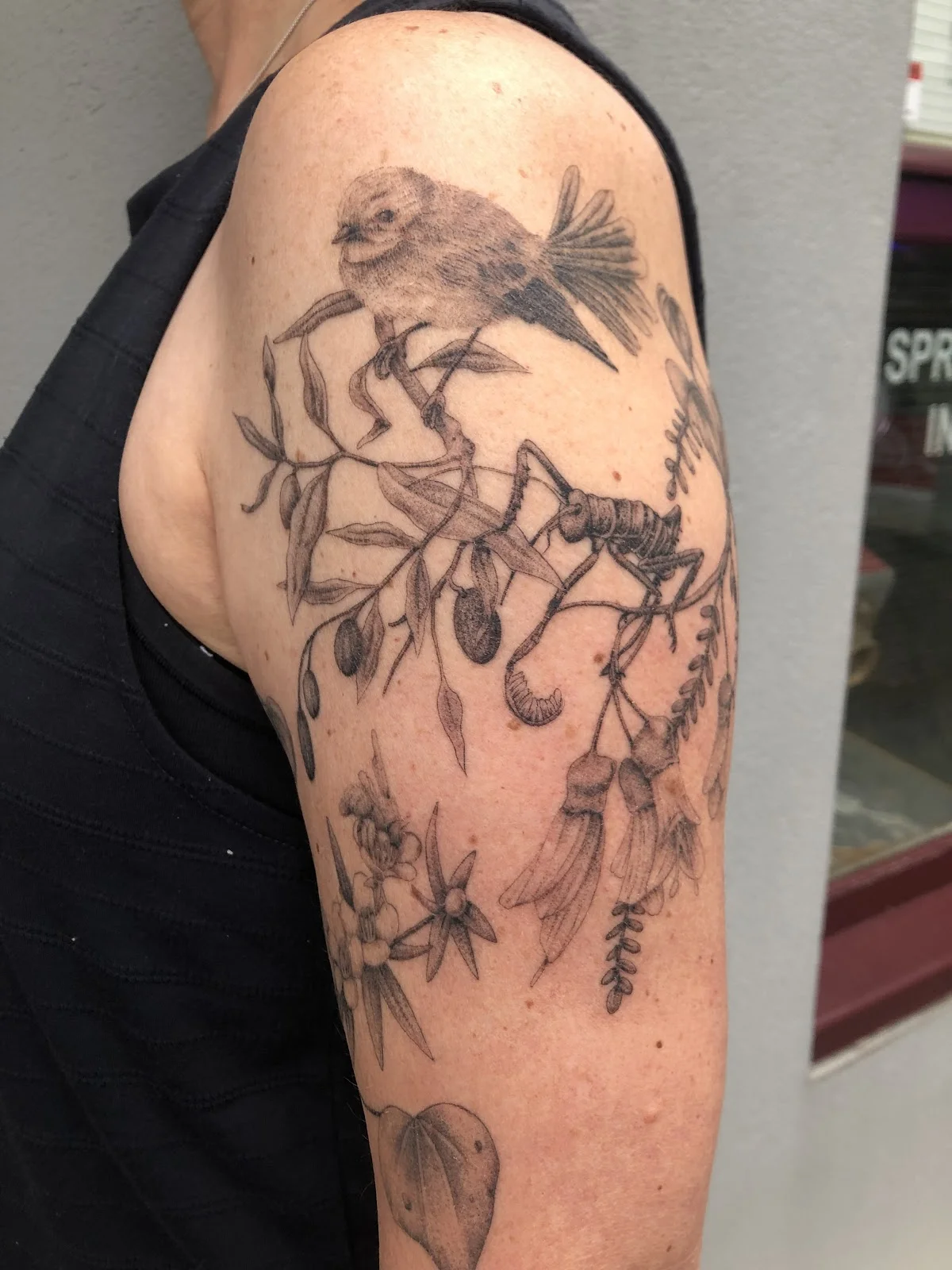 Sumi Tattoo tattoo shop in Wellington