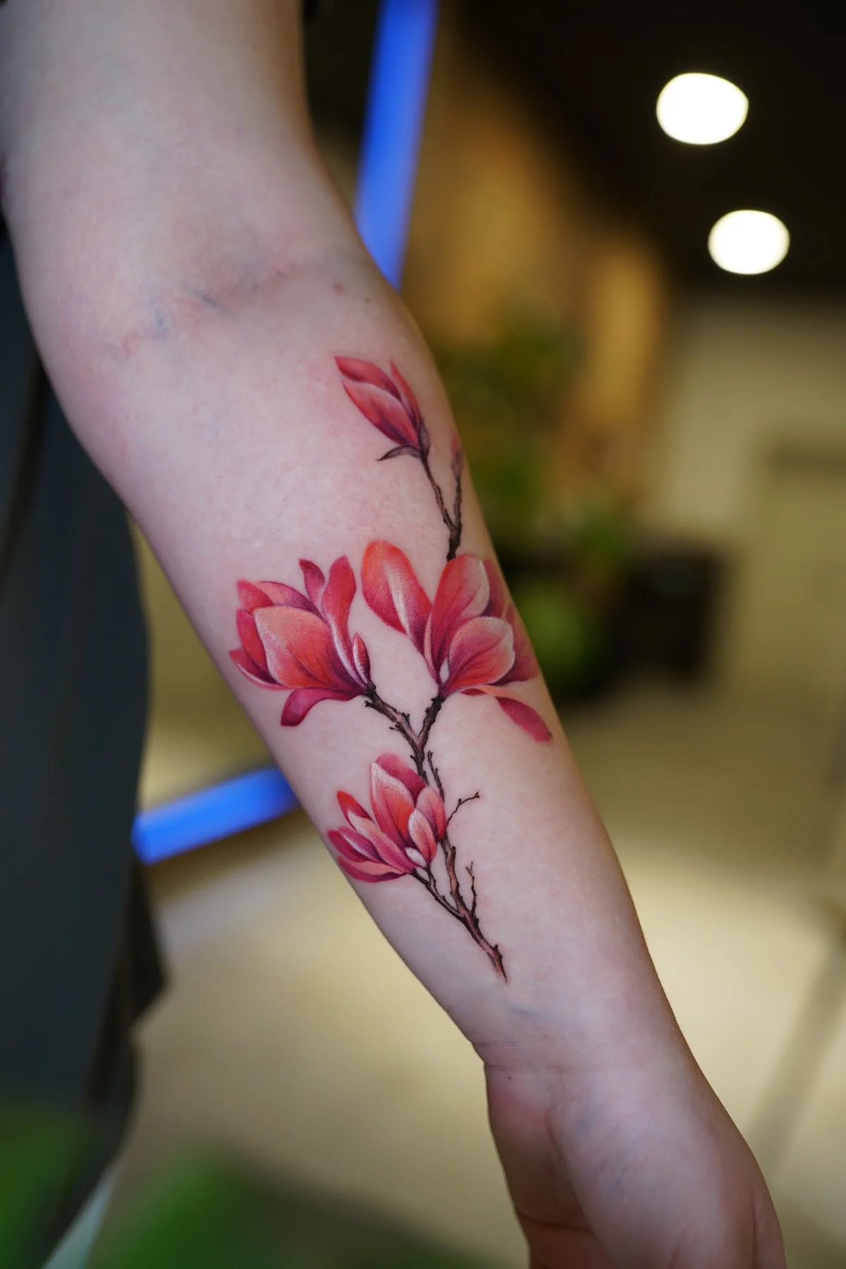 Dimension Ink tattoo shop in Oslo