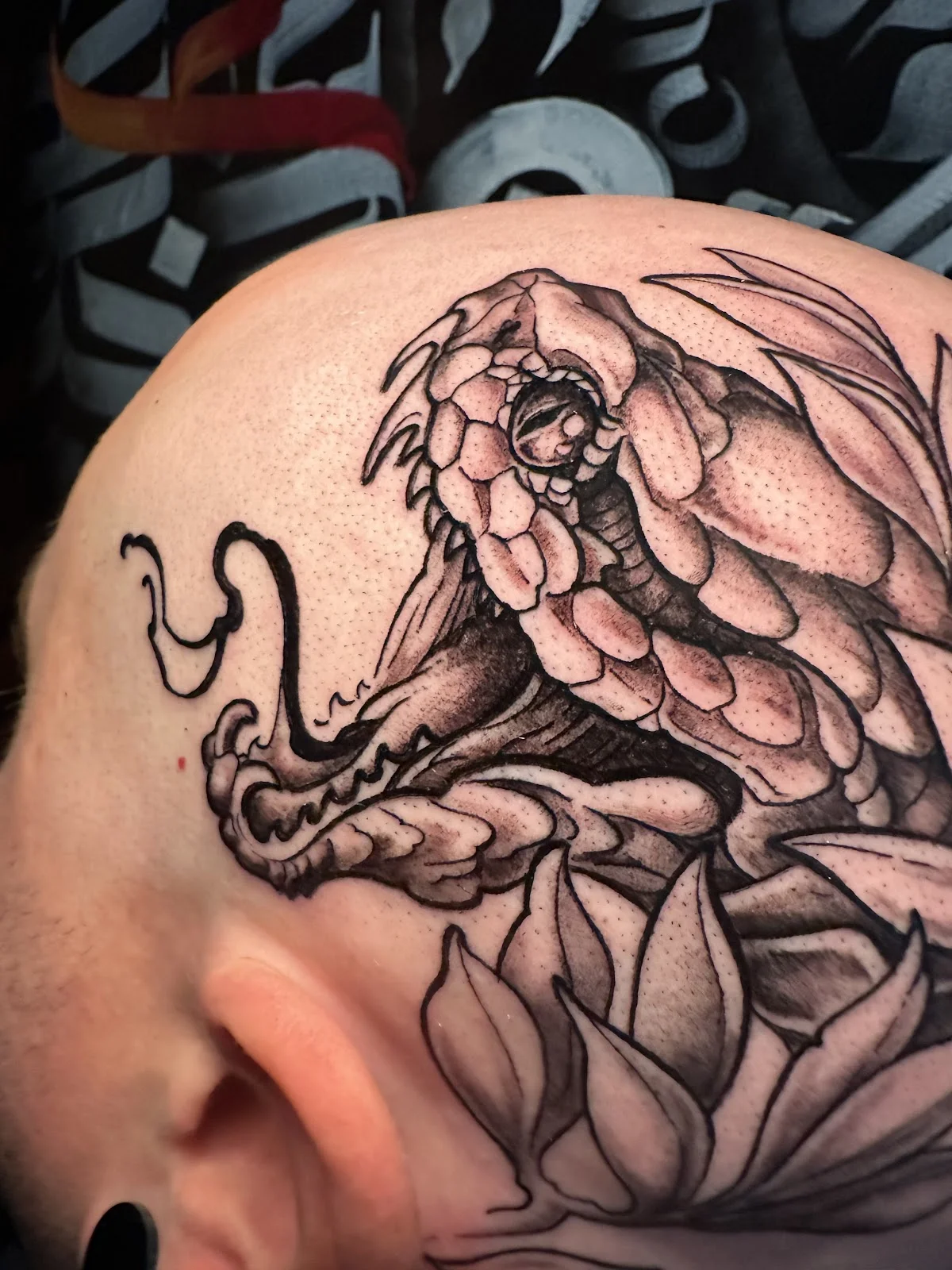 Northstar Tattoo studio Stavanger tattoo shop in Stavanger