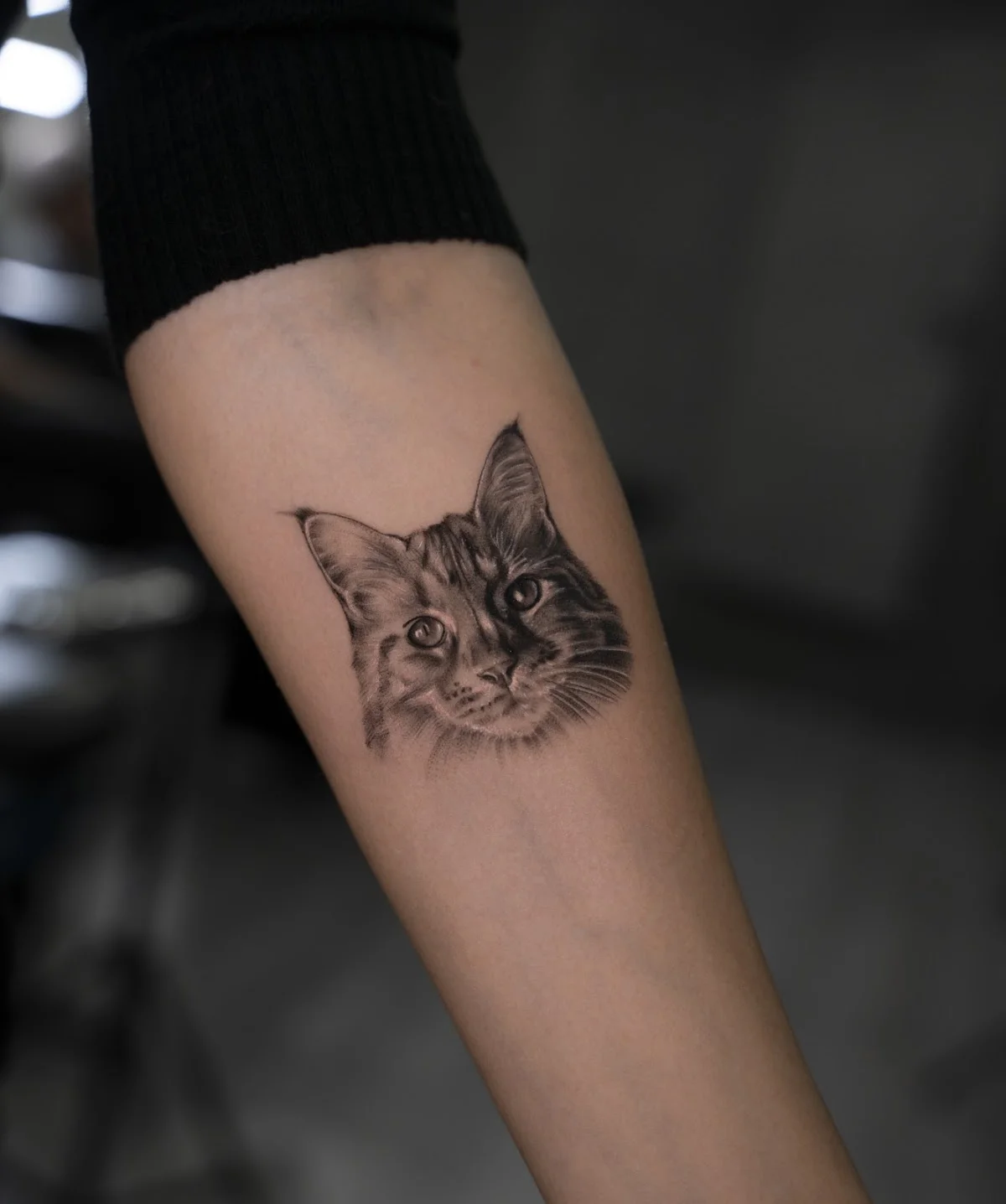 Choco Tattoo tattoo shop in Budapest