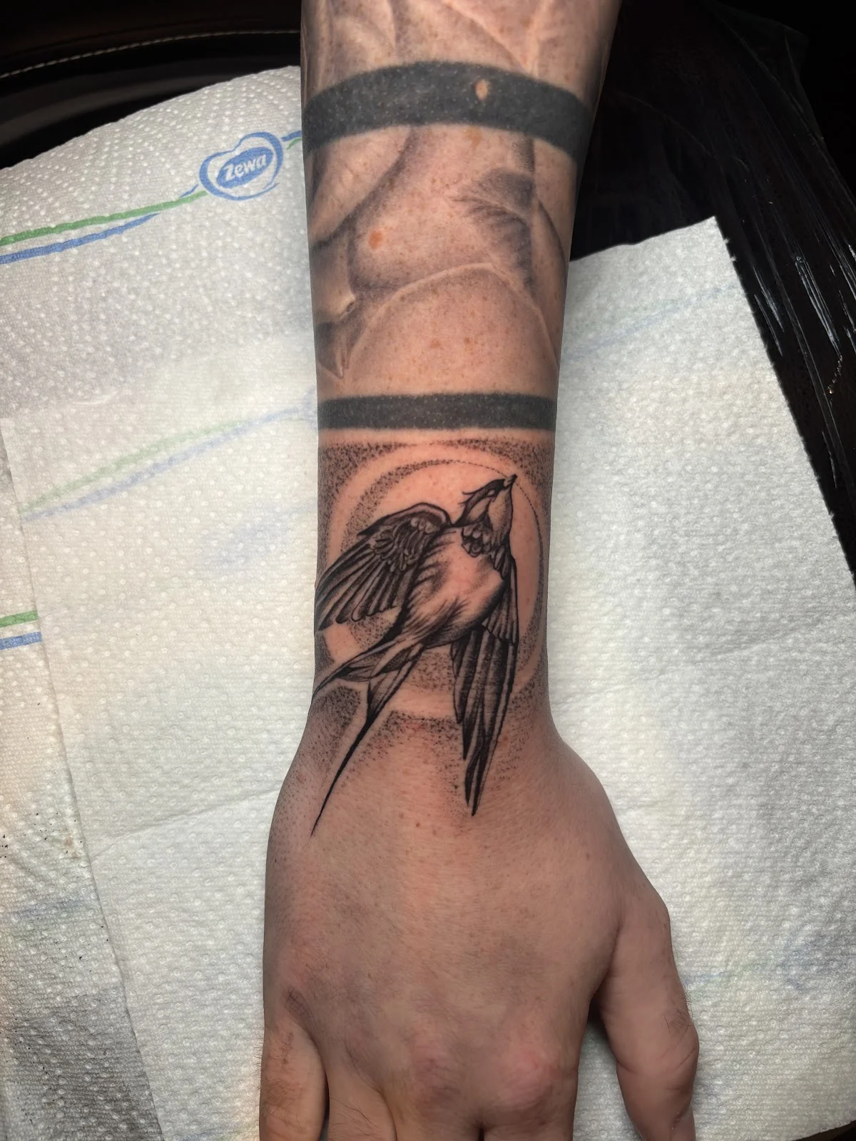 Tom Tattoo Gallery tattoo shop in Pecs