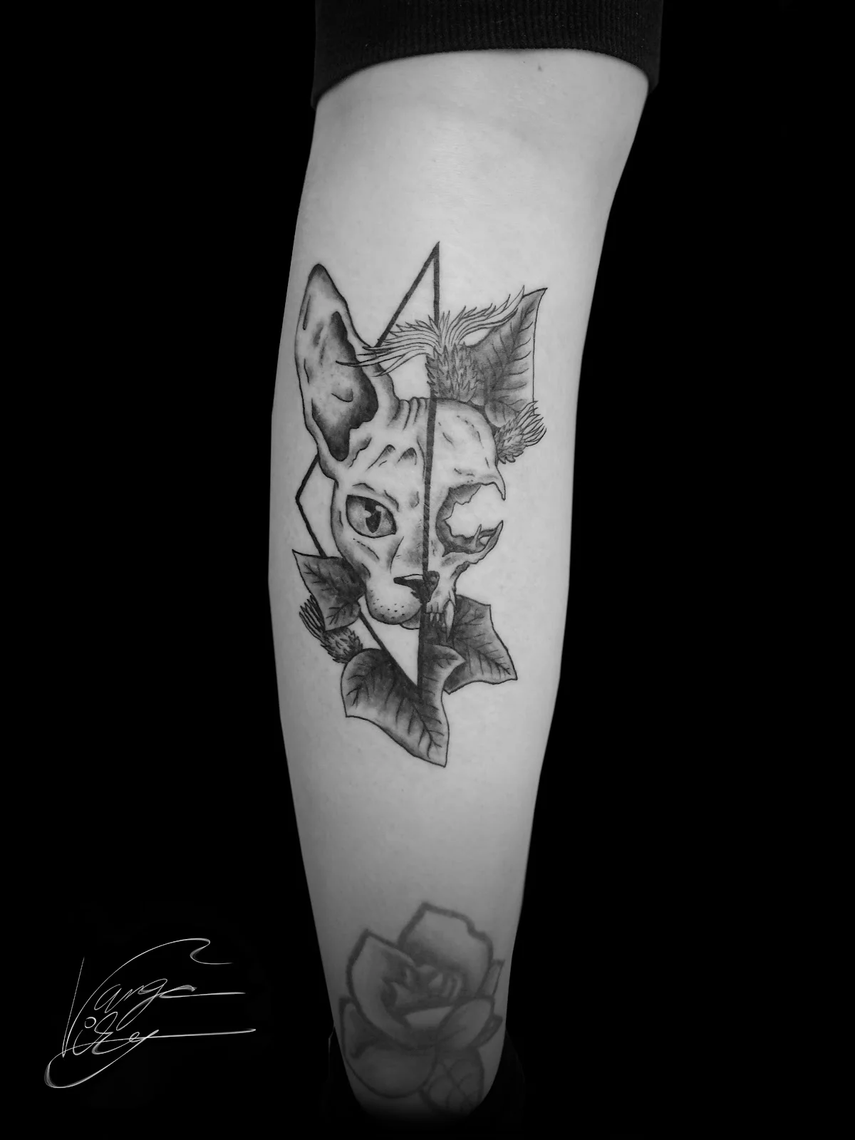 Phoenix Tattoo tattoo shop in Pecs