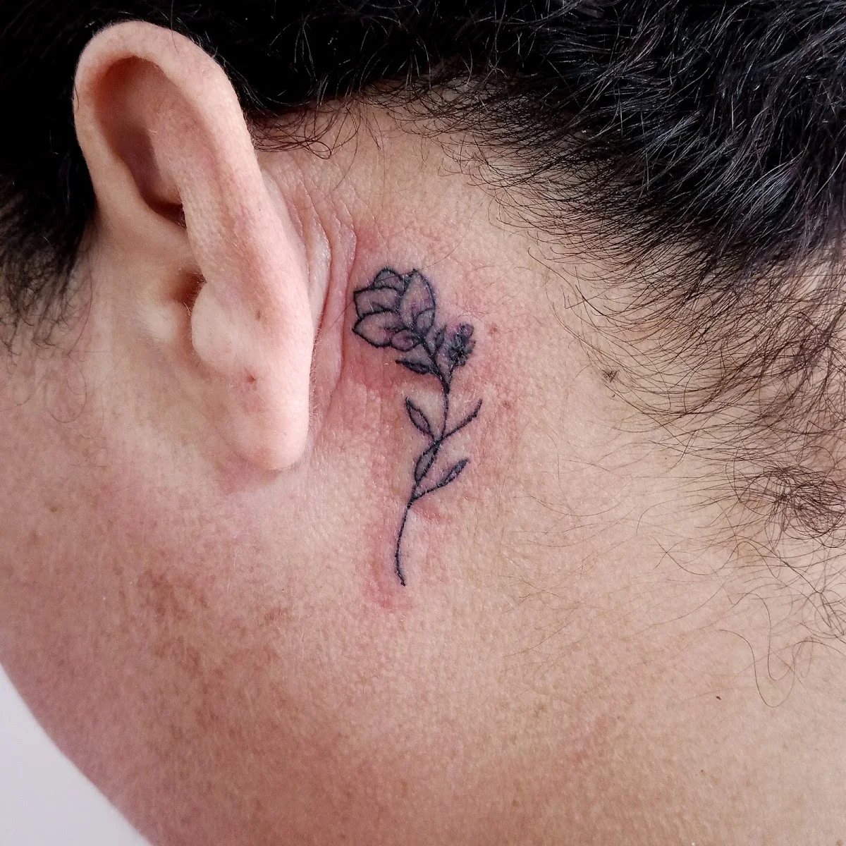 ESTUDIO 97 tattoo & piercing tattoo shop in Maracaibo