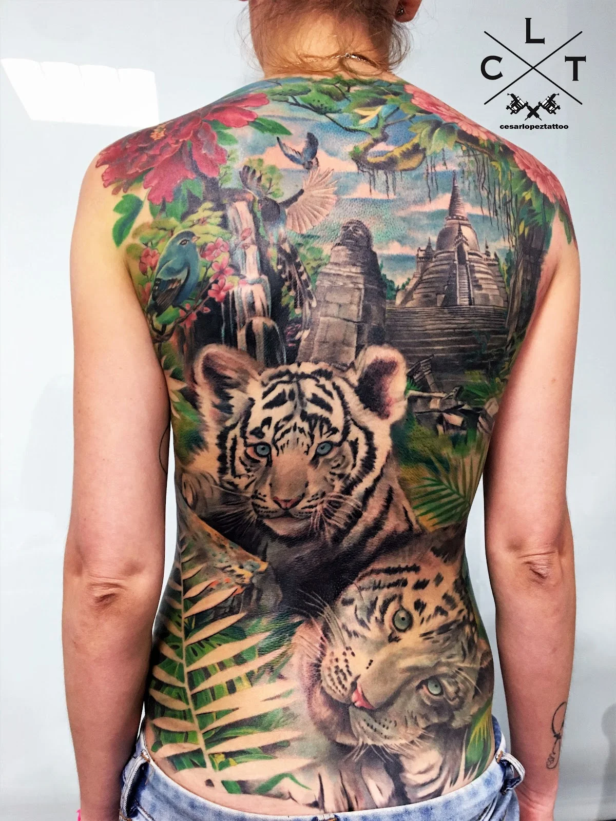 César López Tattoo - Tatuajes y Piercings tattoo shop in Valencia