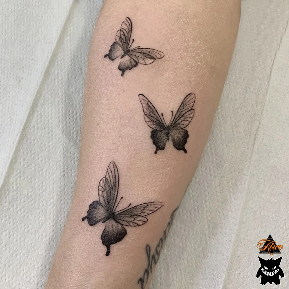 Alice Tattoo Studio (тату Запорожье) tattoo shop in Zaporizhia