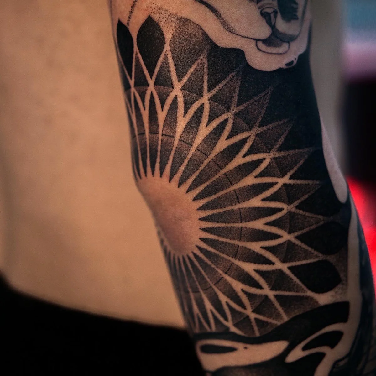 Papayaga Tattoo tattoo shop in Vinnytsia
