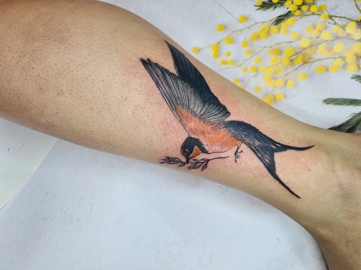 Pikul’s tattoo tattoo shop in Kherson