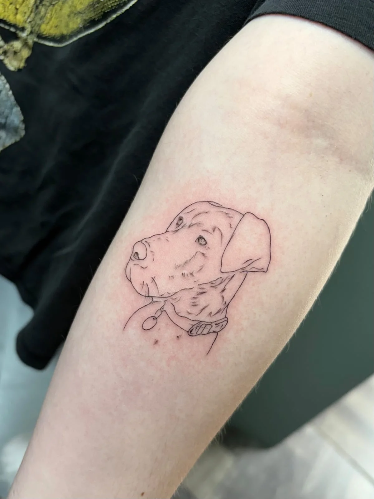 Sally Mustang Tattoos tattoo shop in Cape Town