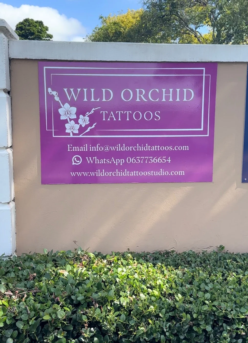 Wild Orchid Tattoos tattoo shop in Durban