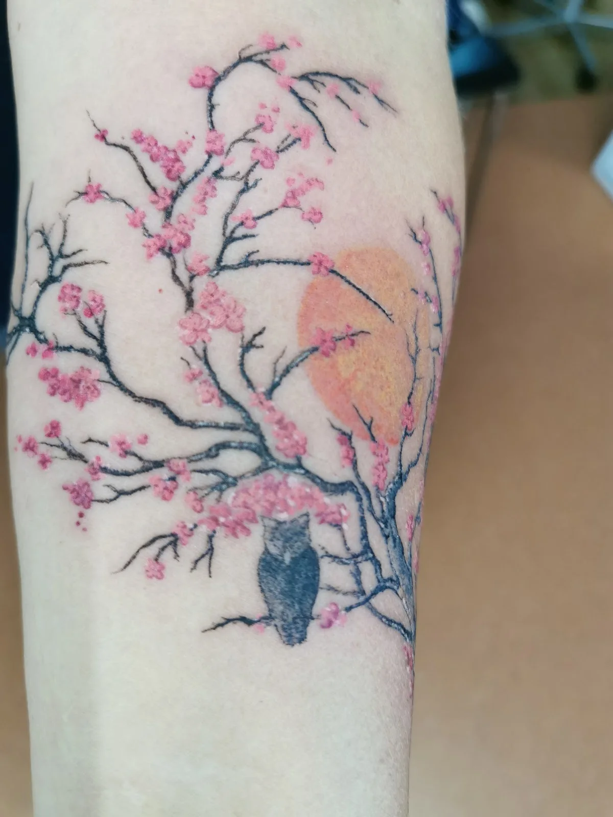 Silvano Braga Tattoo GmbH tattoo shop in Bern
