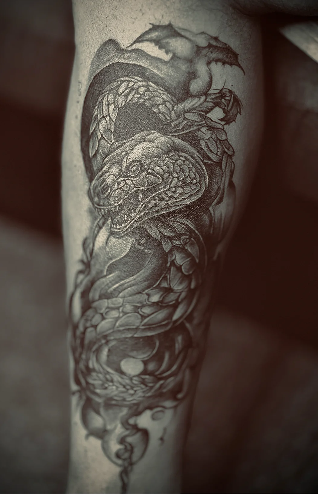 Evomee tattoo studio sharjah tattoo shop in Sharjah