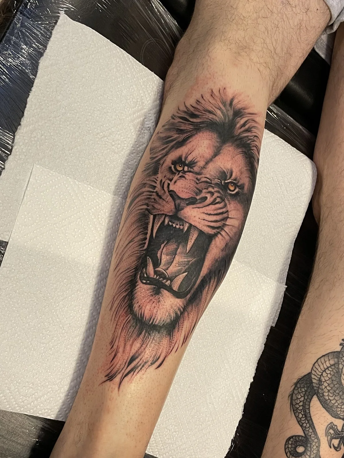 BLACK CAT STUDIO Anna Tattoo tattoo shop in Krakow