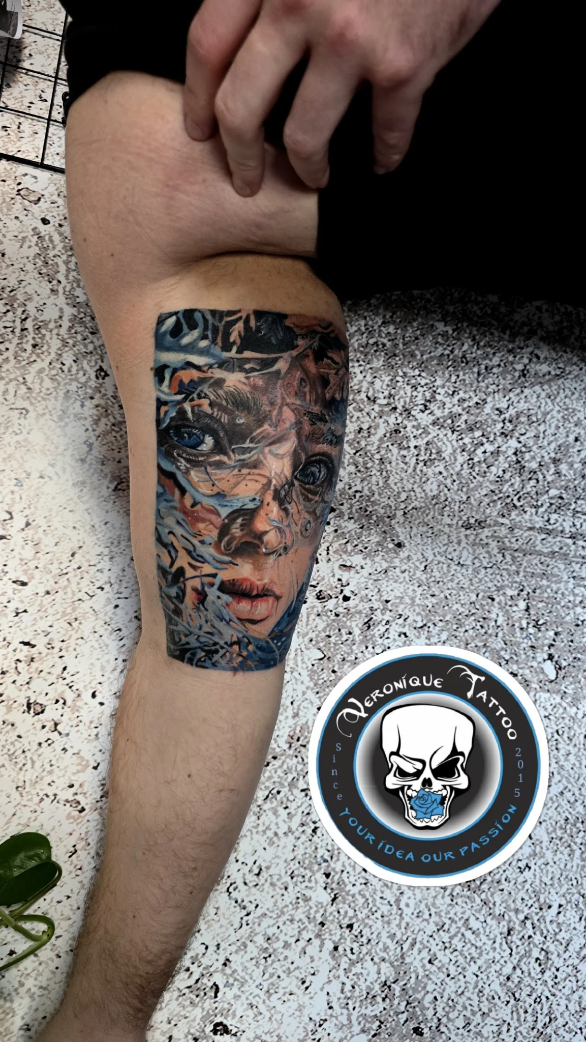 Veronique tattoo tattoo shop in Szczecin