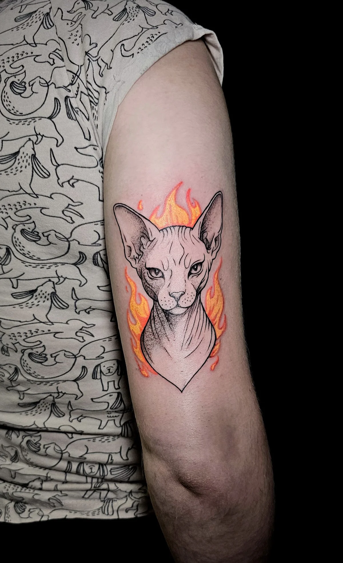 Sphynx Tattoo Szczecin tattoo shop in Szczecin