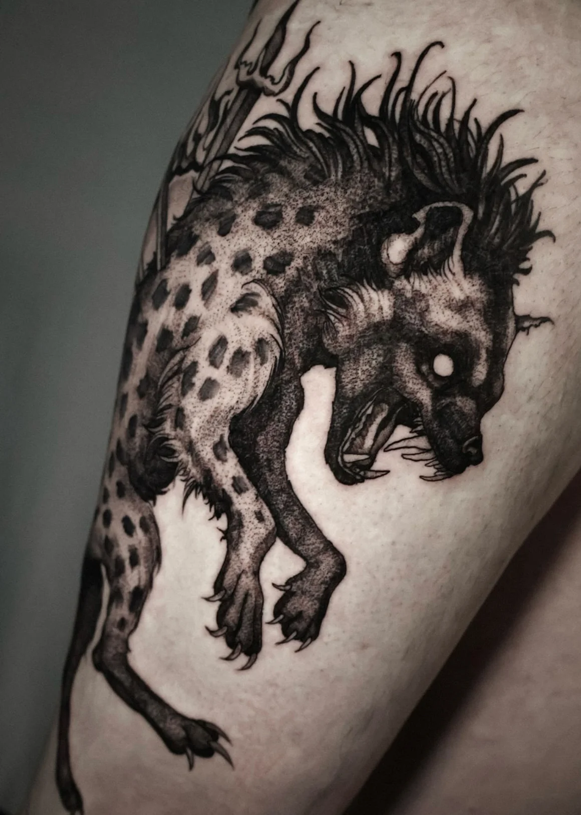 Na Co Ci To Tattoo tattoo shop in Katowice