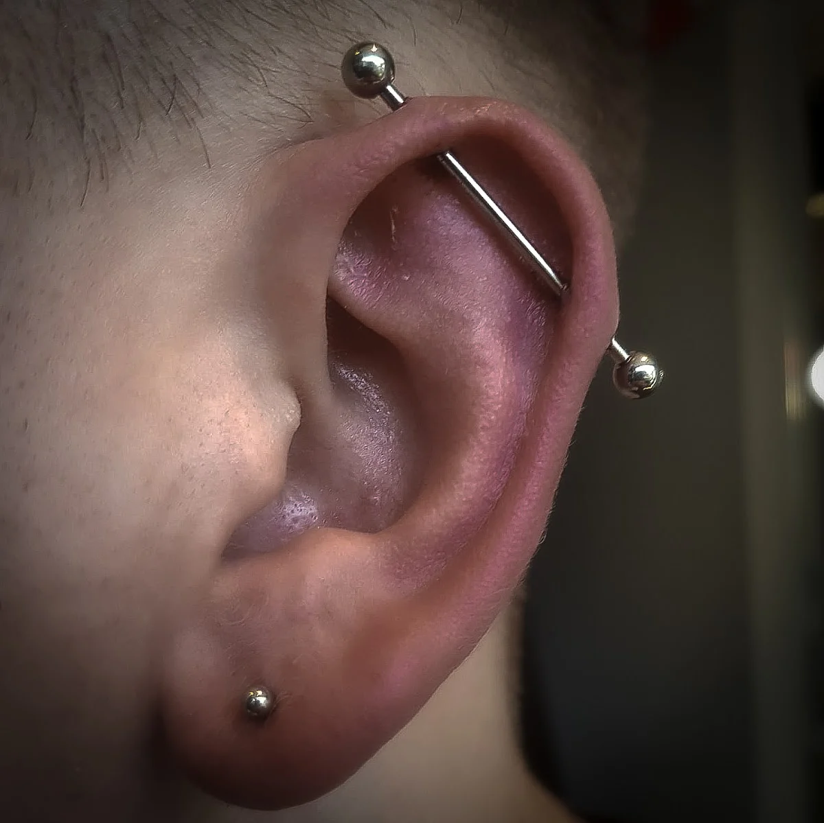 Przystanek Tattoo & Piercing Gdynia tattoo shop in Gdynia