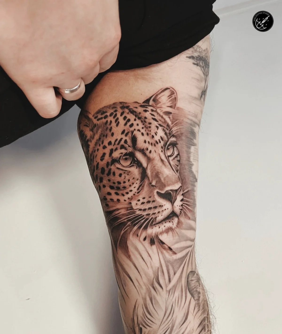 Karlstattoo tattoo shop in Coimbra