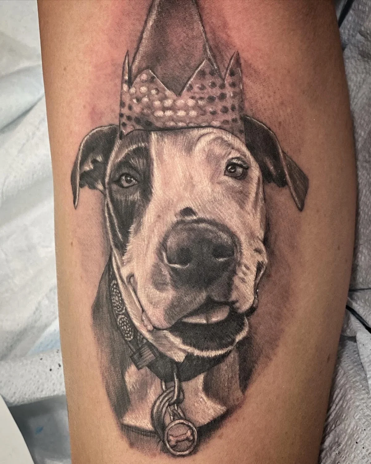 The Standard Tattoo Parlor photo