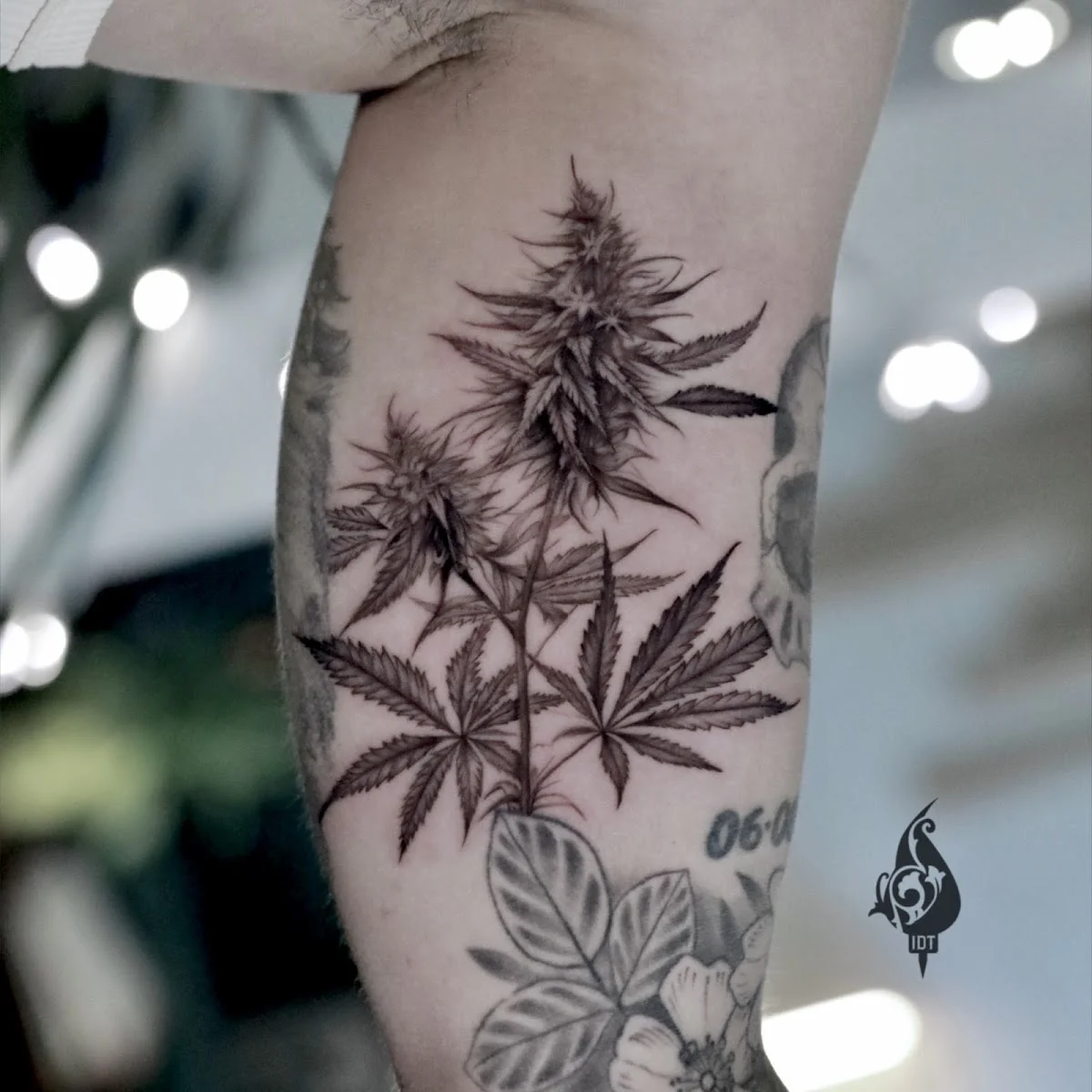 Inky Dreams Tattoo photo