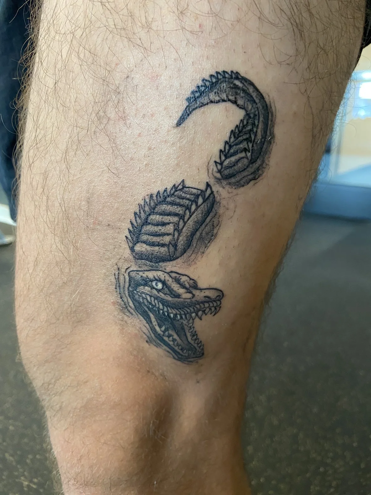 San Diego Tattoo Company photo