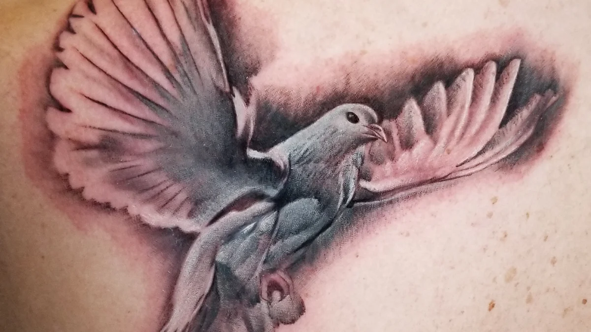 Hollywood Stars Tattoo photo