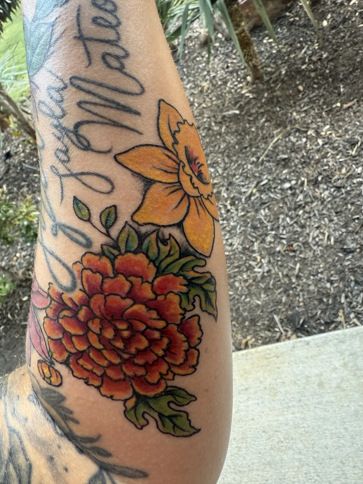 Lyons Den Tattoo tattoo shop in McKinney, TX
