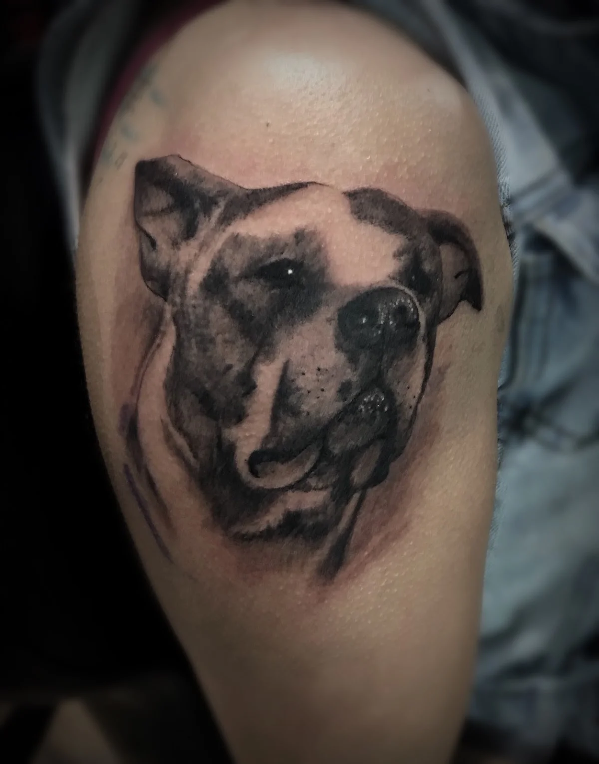 Hard Knox Tattoo photo