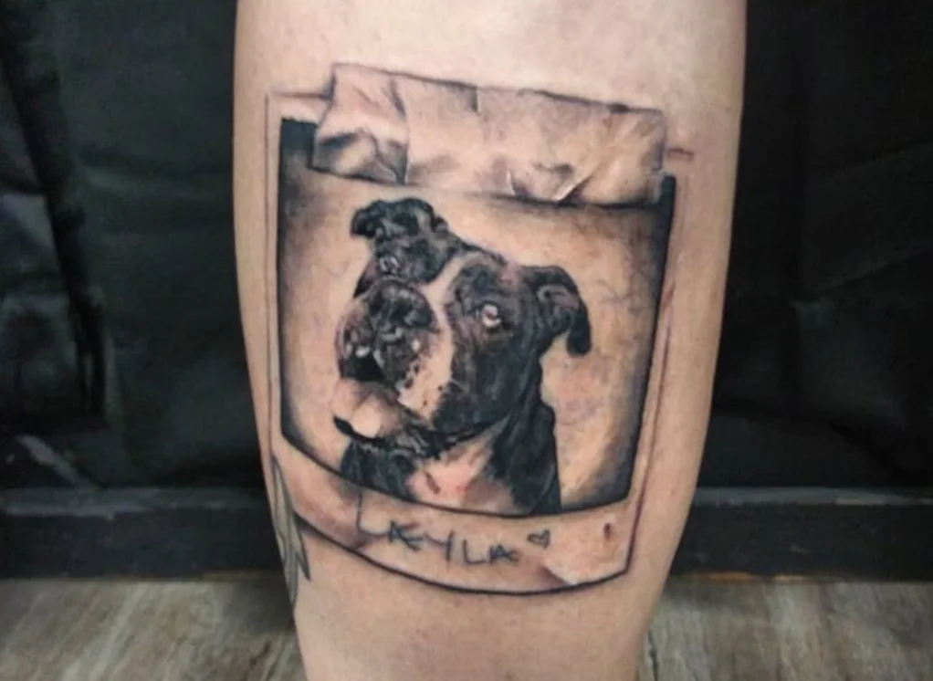 Skull City Tattoos tattoo shop in Syracuse, NY