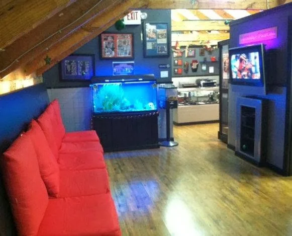 Absolute Ink Tattoo & Piercing tattoo shop in Murfreesboro, TN