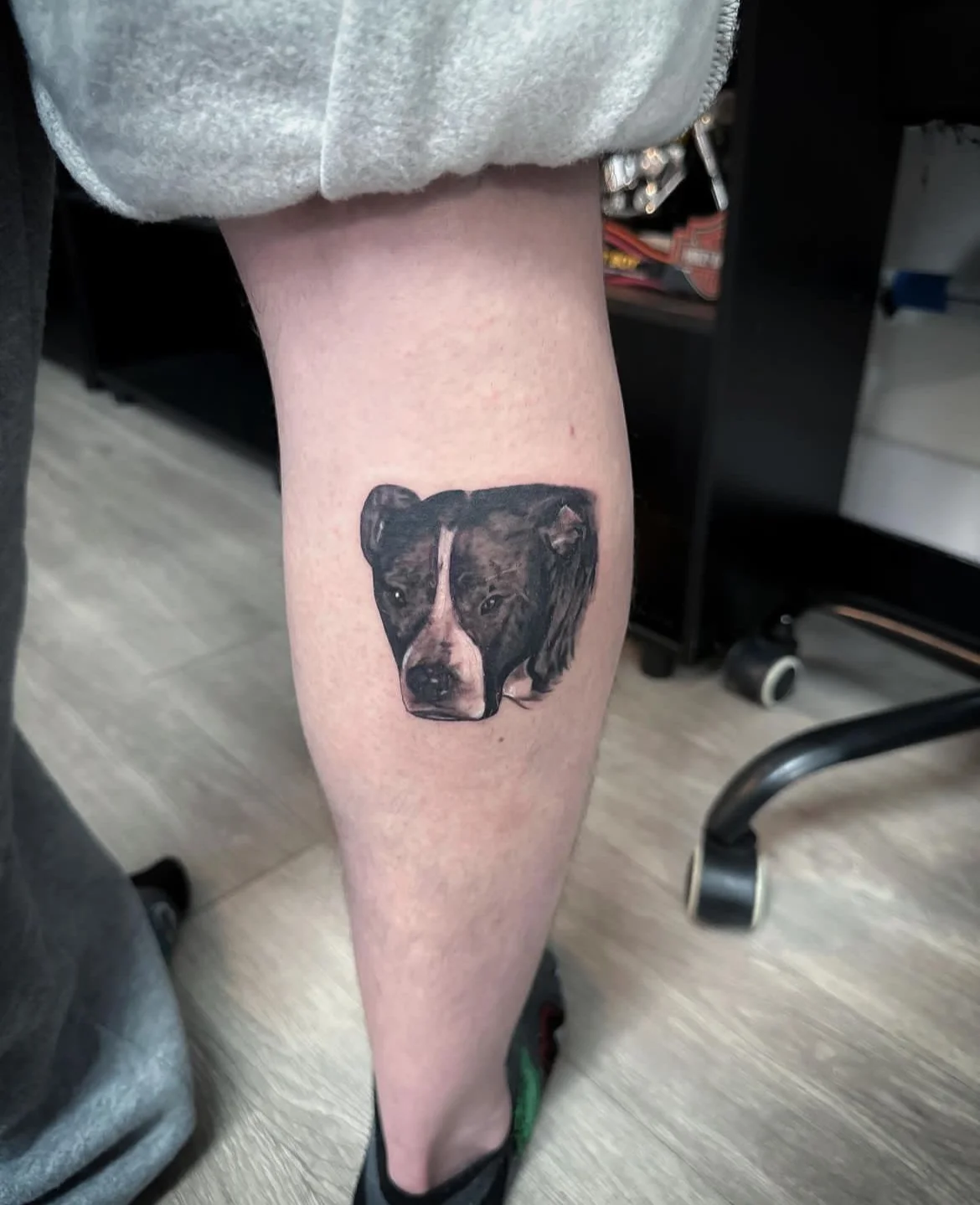 Snafu Tattoo Studio photo