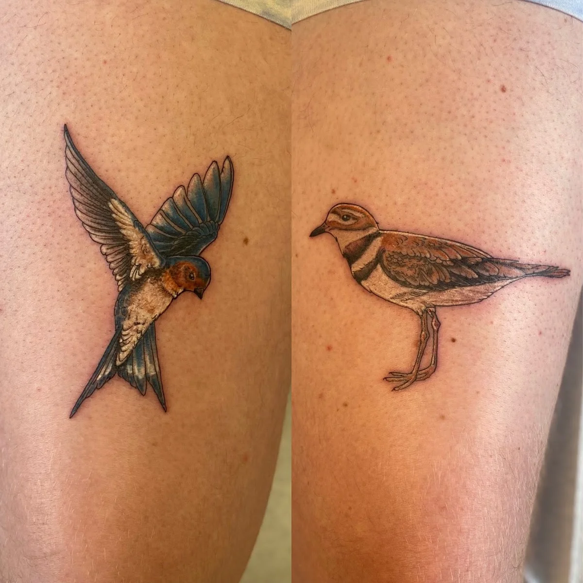Meadowlark Tattoo tattoo shop in Fort Collins, CO
