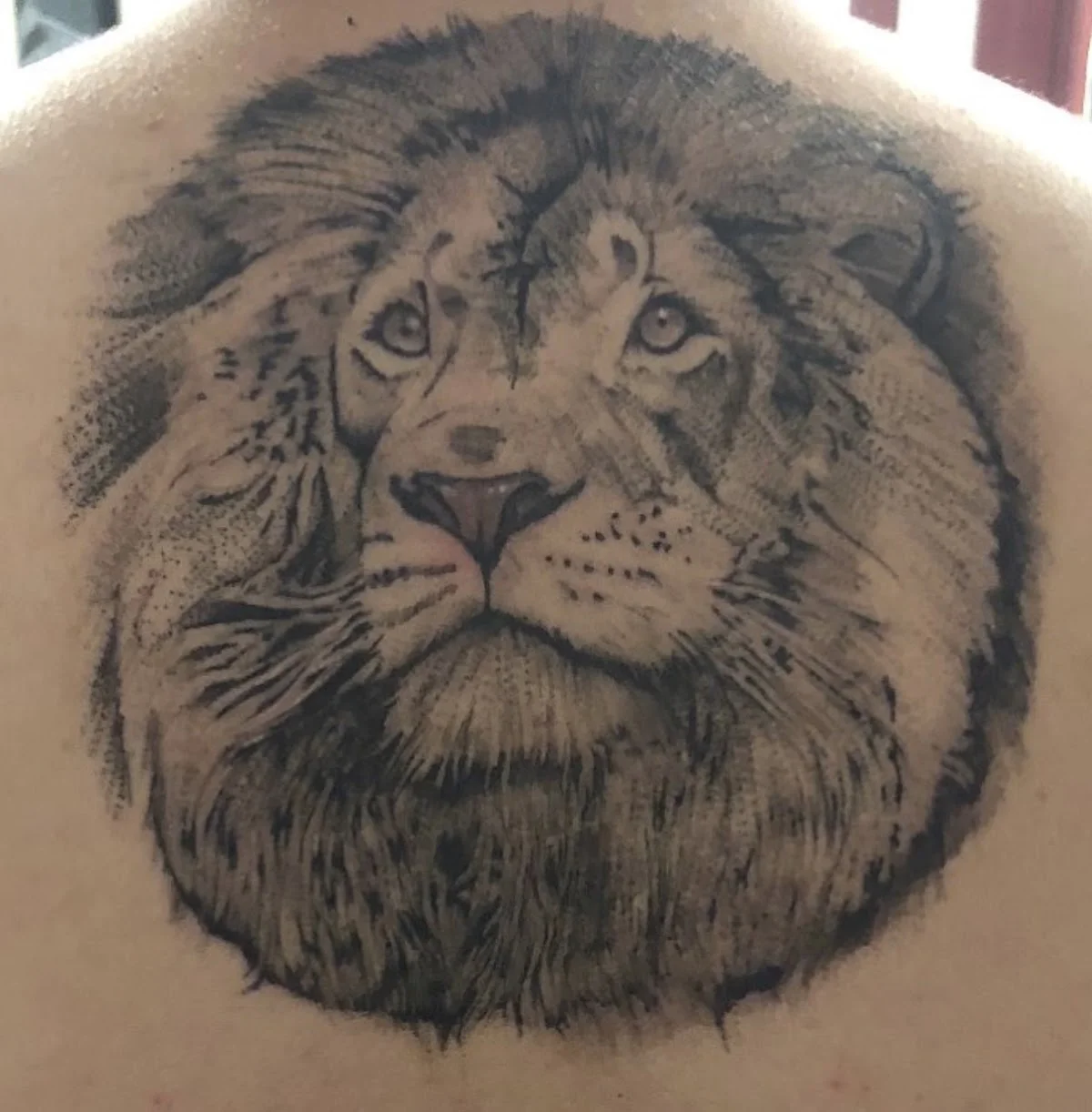 Dali Tattoos LLC photo