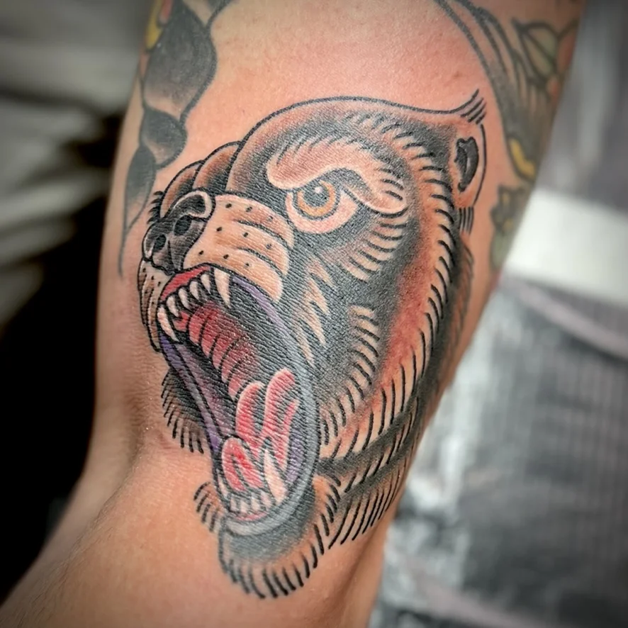 Timeless Tattoo LLC tattoo shop in Terre Haute, IN